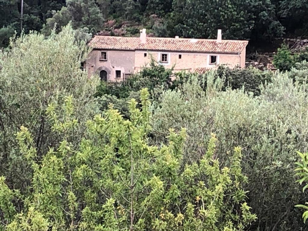 Penes Puerto de Andratx